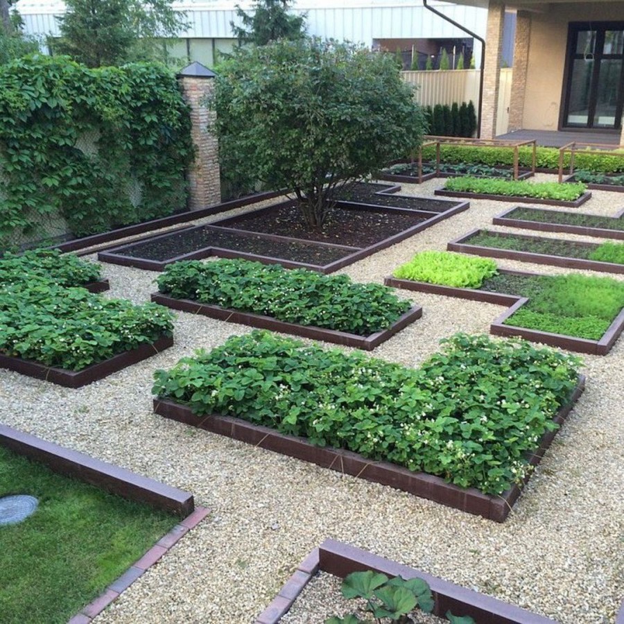 Огород в регулярном стиле