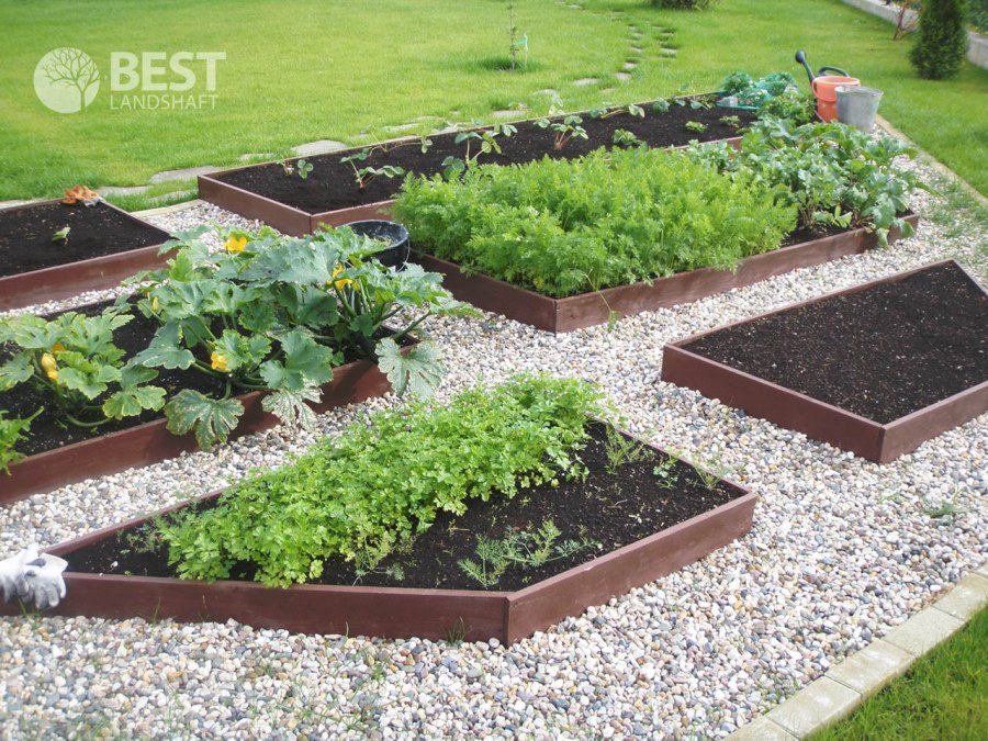 Декоративный огород