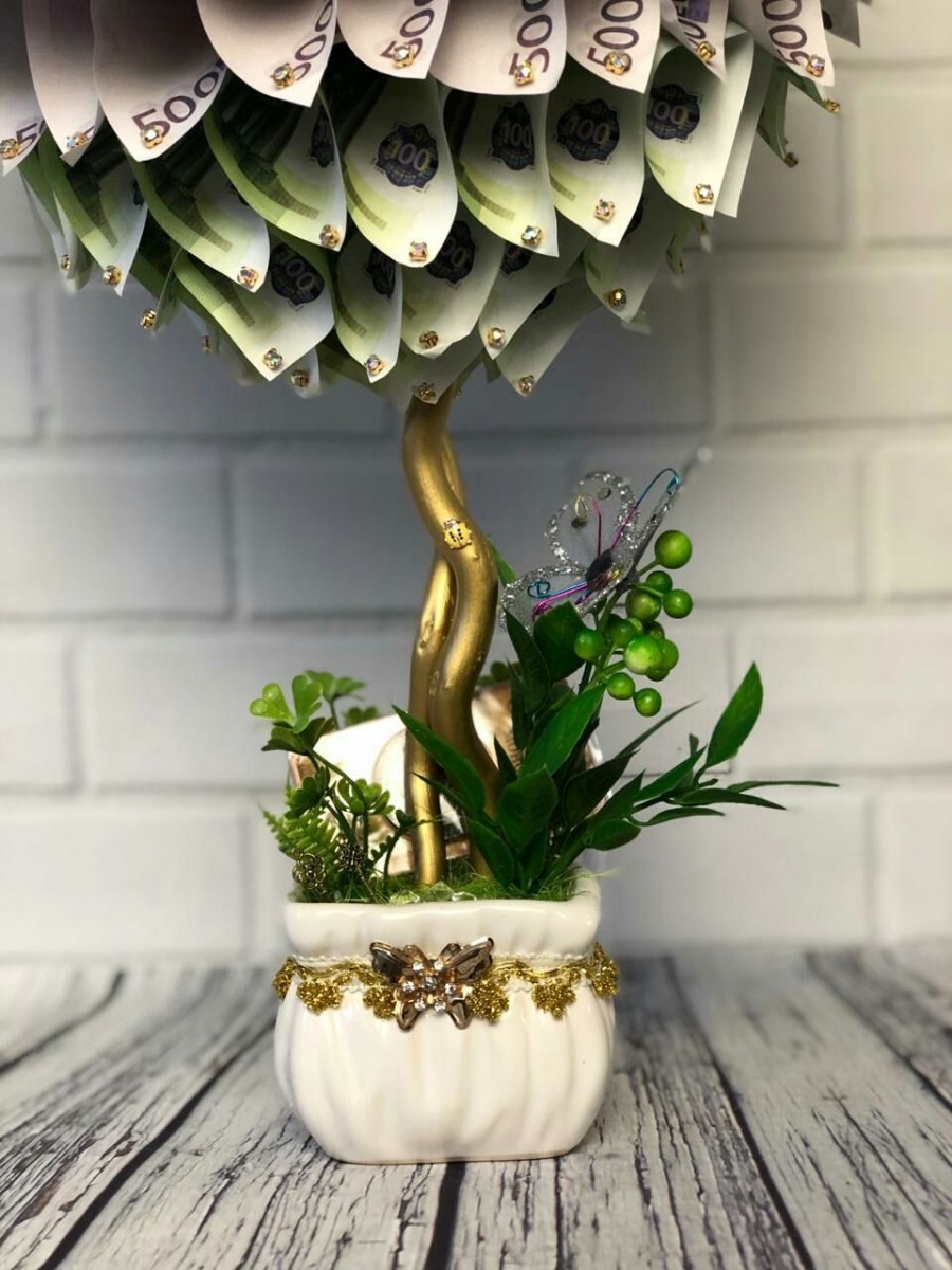 Топиарий денежное дерево