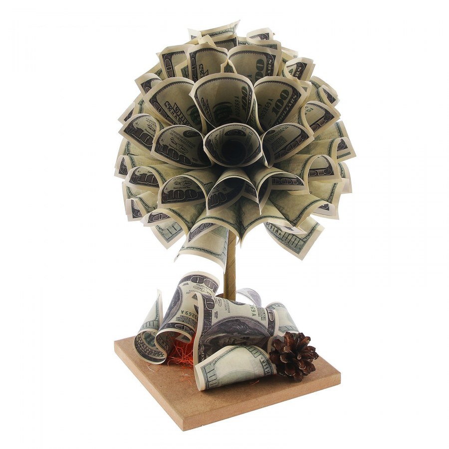 Толстянка денежное дерево