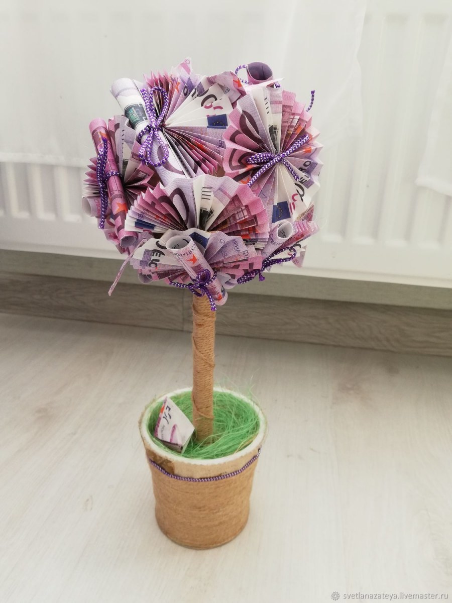 Толстянка фэн шуй