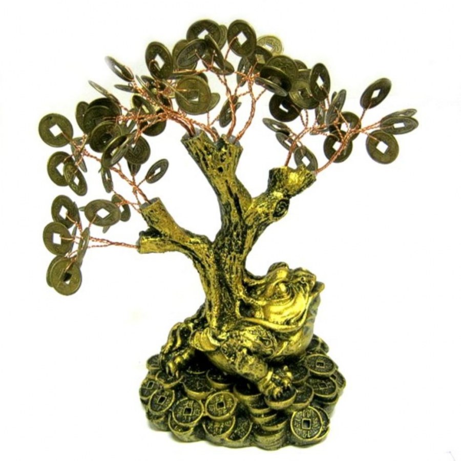 Денежное дерево