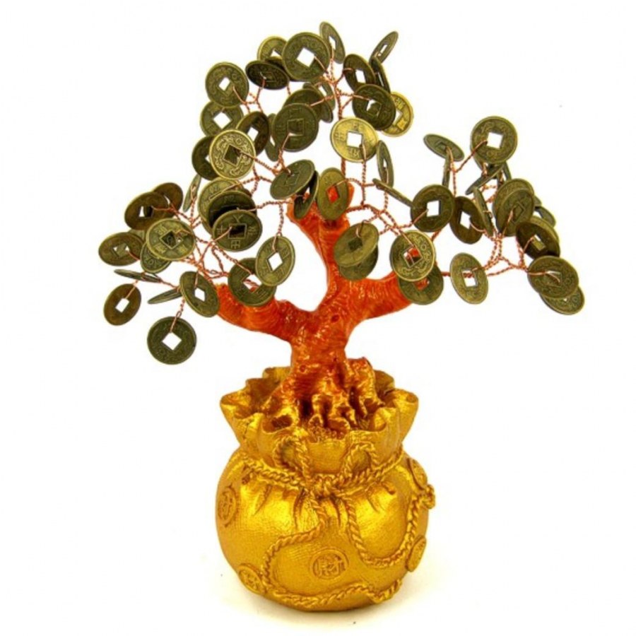 Крассула (денежное дерево)