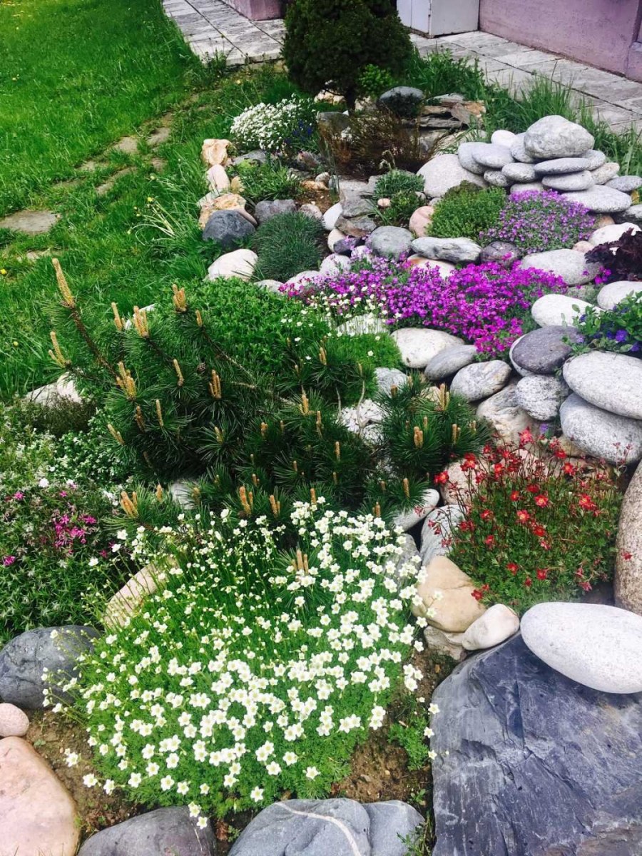 Альпийская горка Версаль