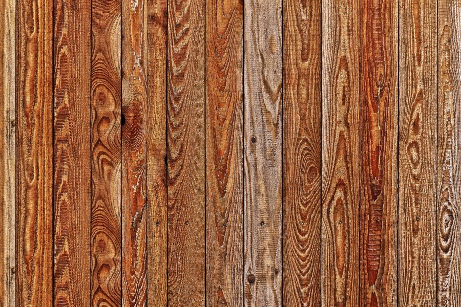 Epl131 дуб Пуната