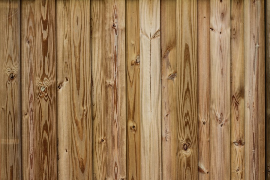 Фактура дерева