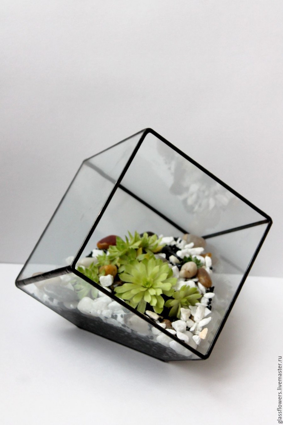 Флорариум гравитариум