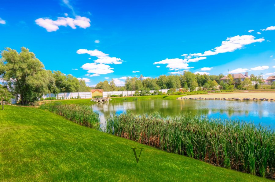 Мэдисон парк участок с видом на лес