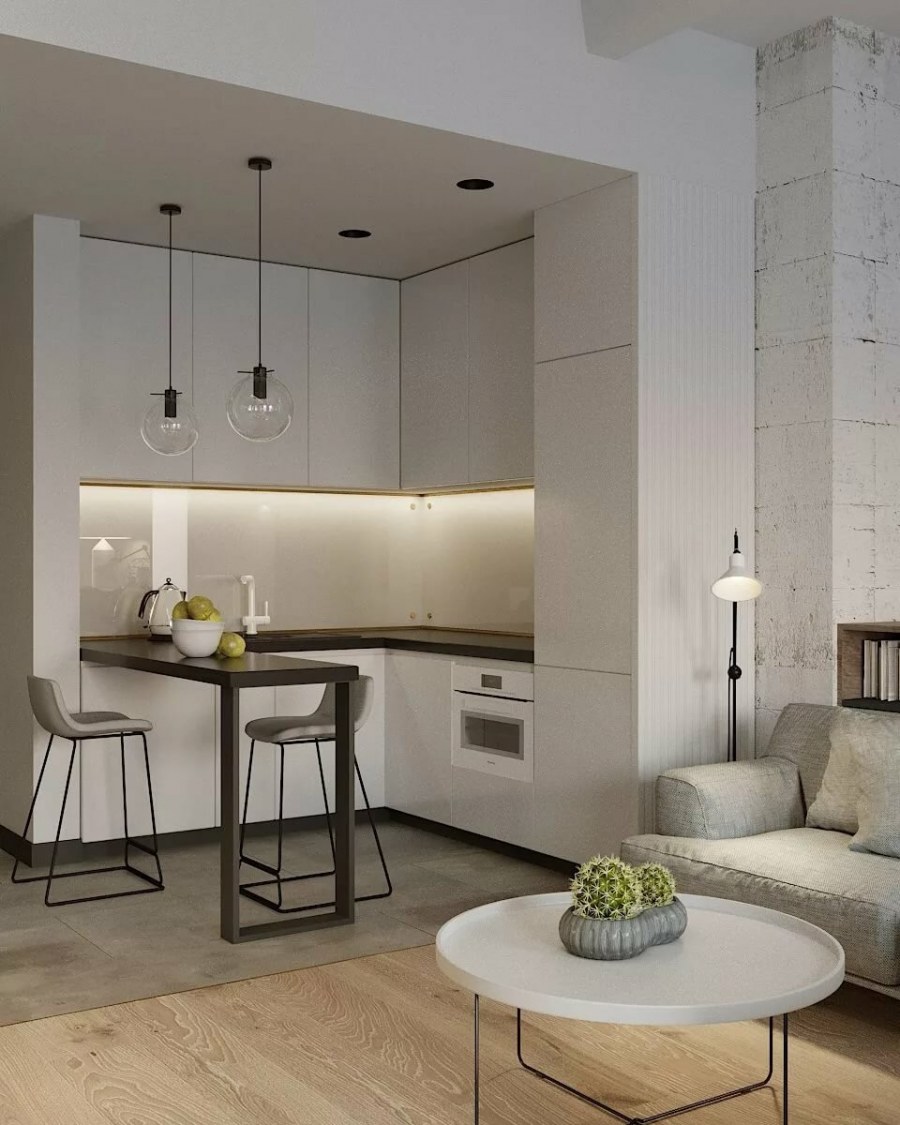 Кухня-гостиная 20 кв.м евродвушка