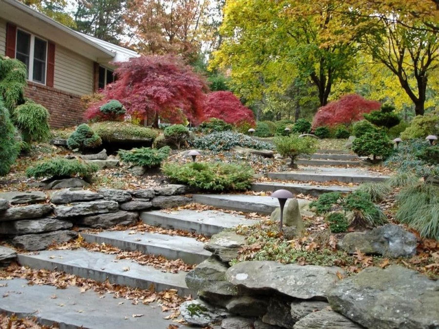 Американский рокарий