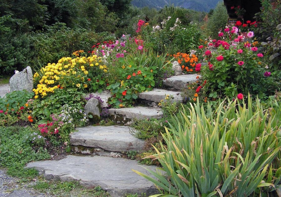 Альпинарий и рокарий