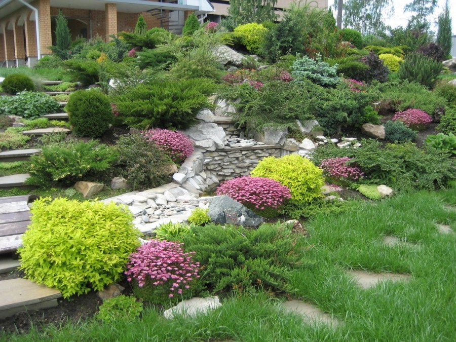 Каменистые сады Альпийская горка