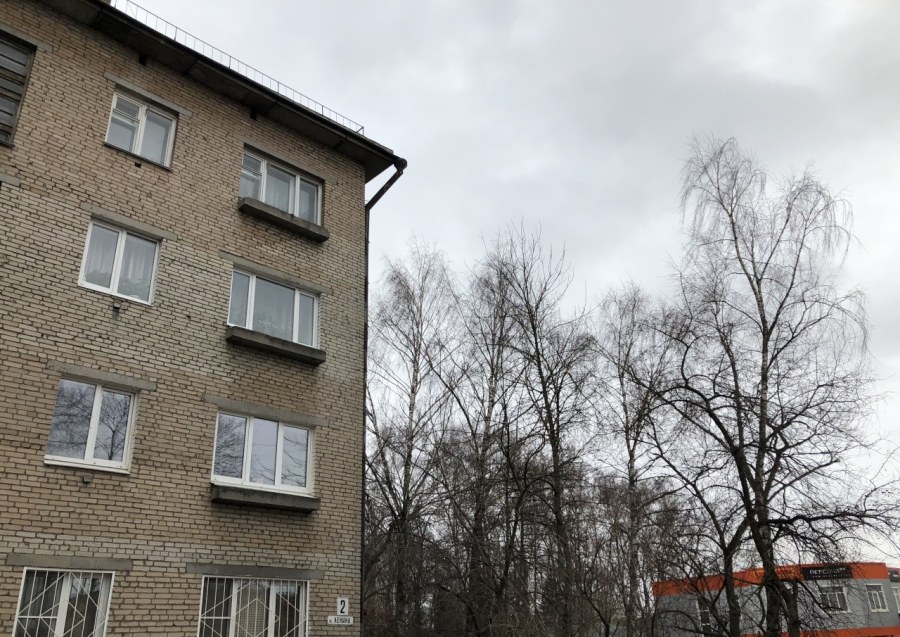 Пушкинский район, п. Лесной, ул. Центральная, д. 11