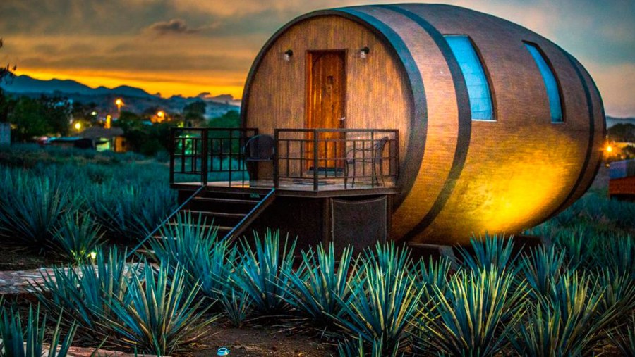 Текила из бочки