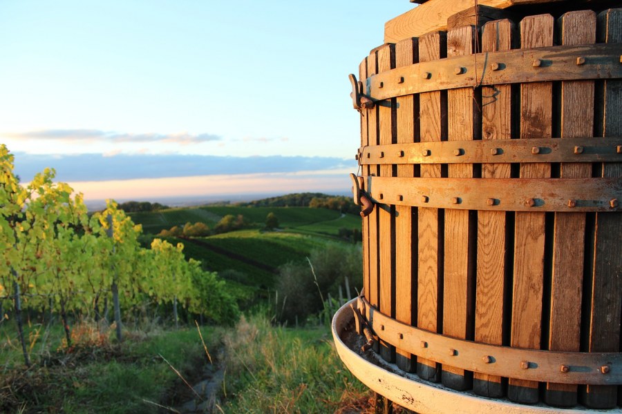 Better Barrel крафт