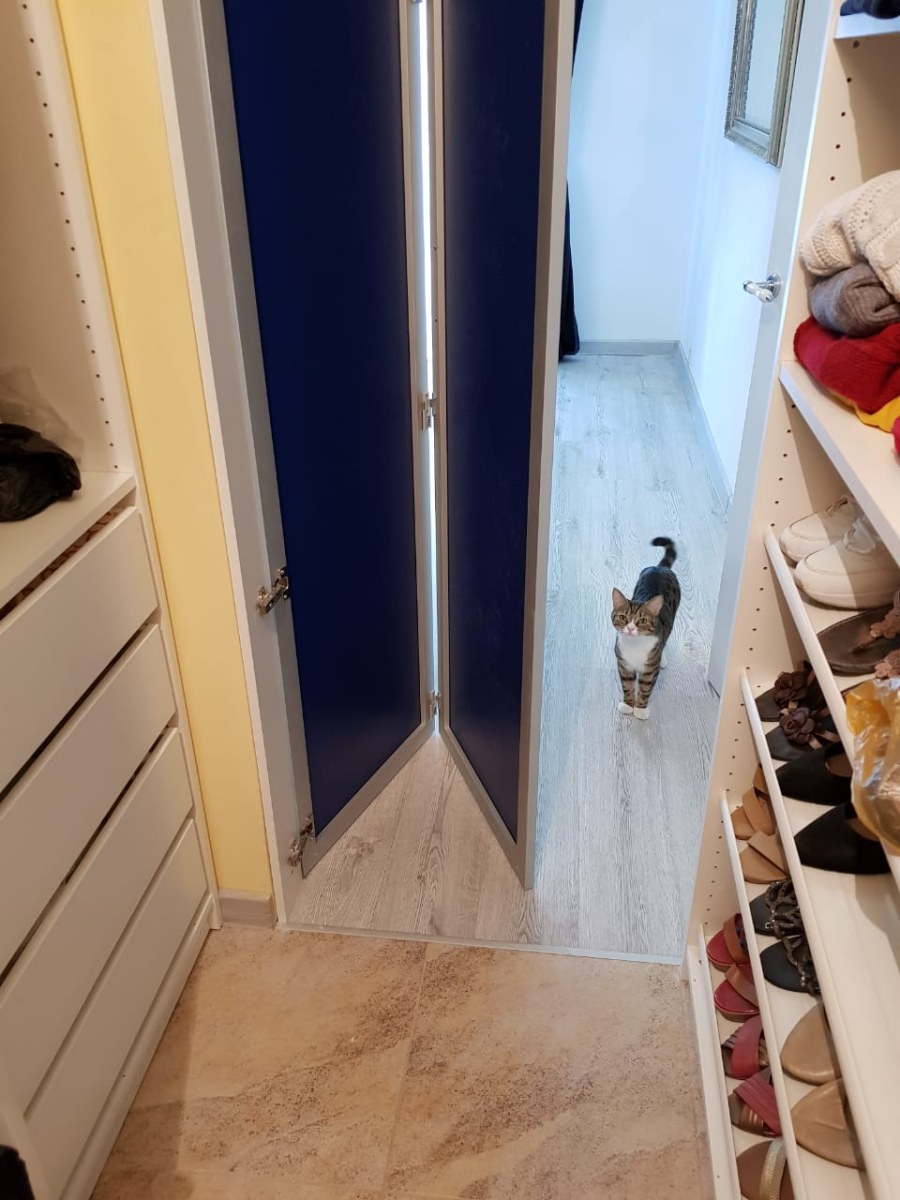 Складная дверь в гардеробную