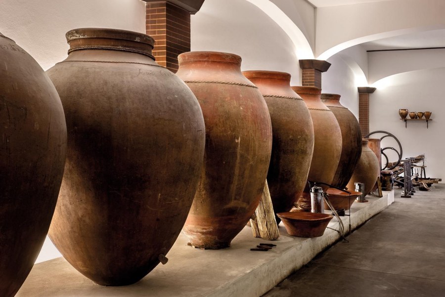 Амфора Гераклеи понтийской