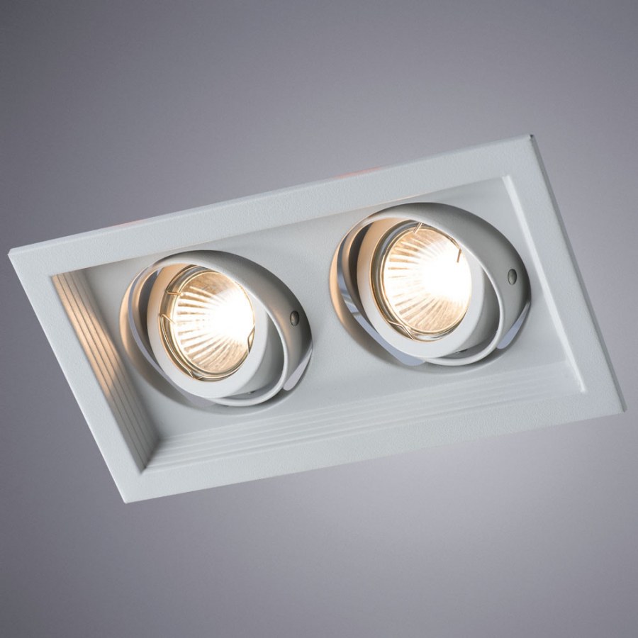 Встраиваемый светильник Arte Lamp canis a6661pl-2wh