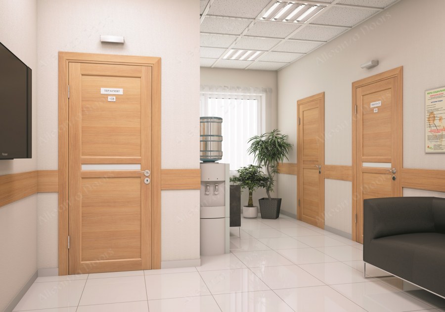 Офисные двери