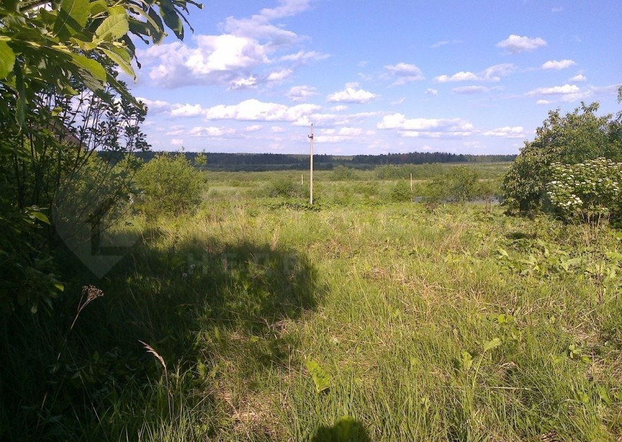 Деревня Бурцево Филимонковское поселение