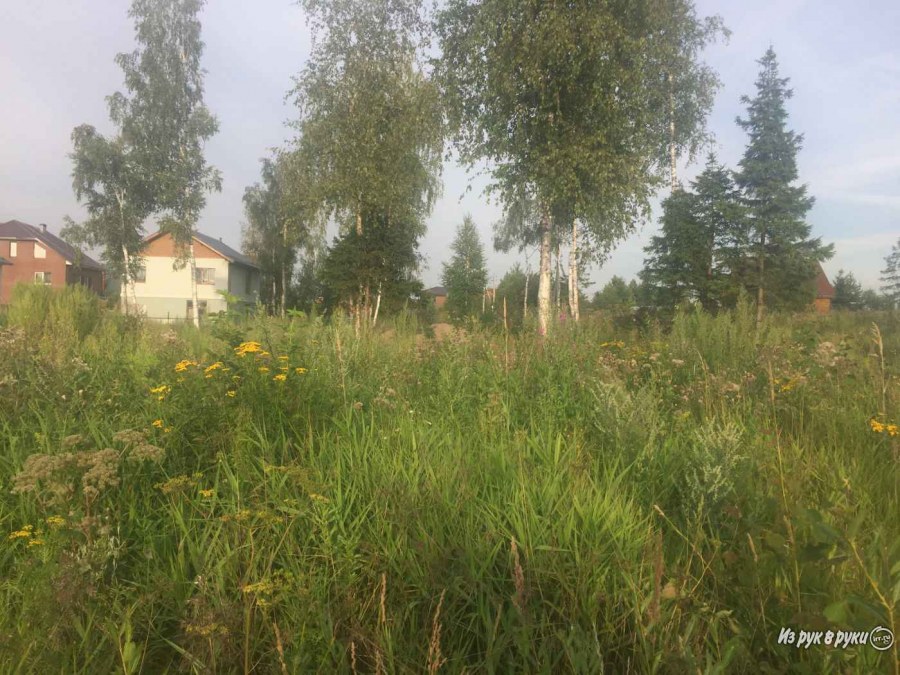 Озерецкое Дмитровский район