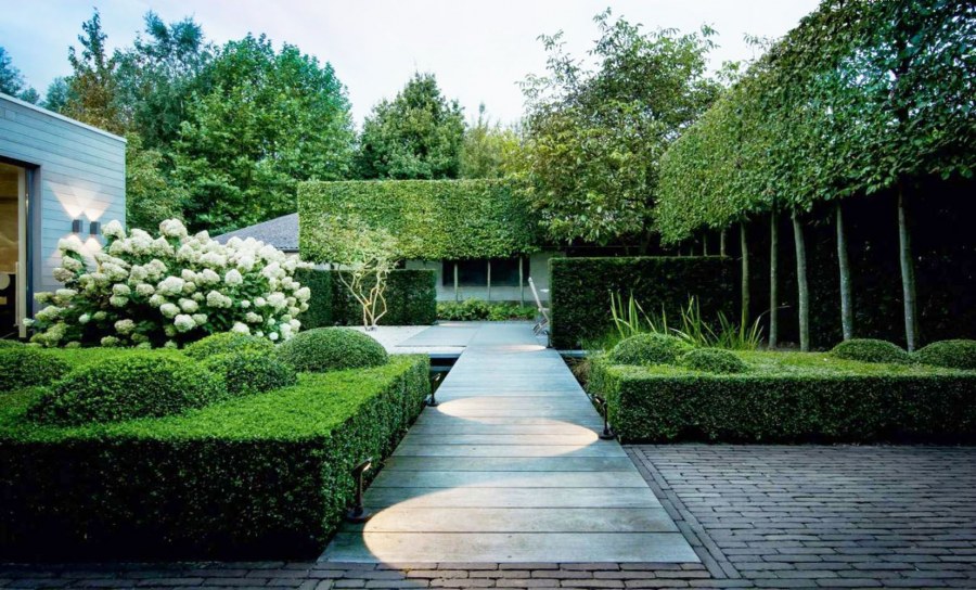 Аркадия Гарден ландшафтный дизайн