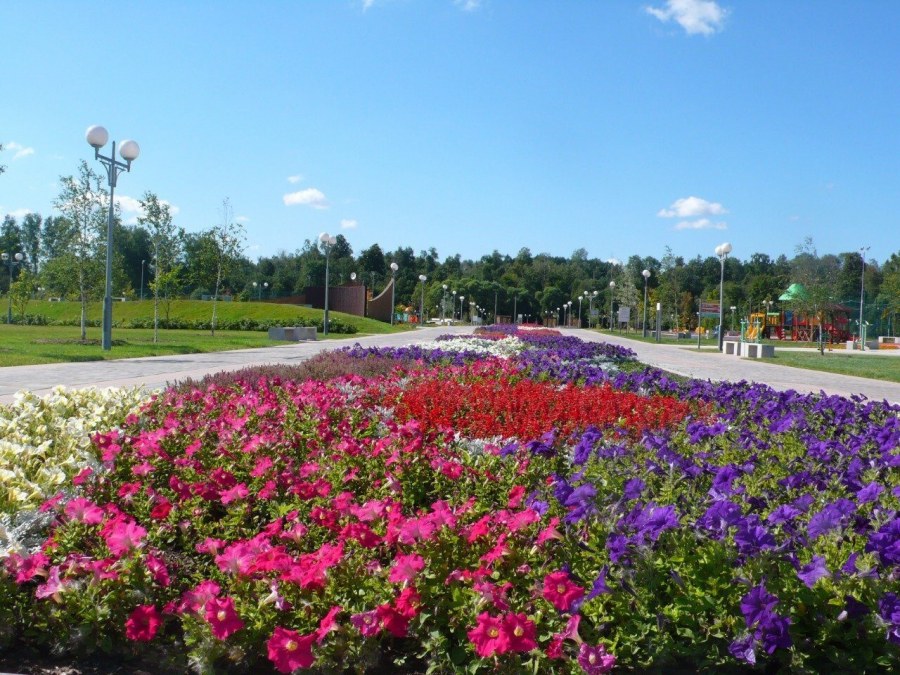 Del Rio Тамбов