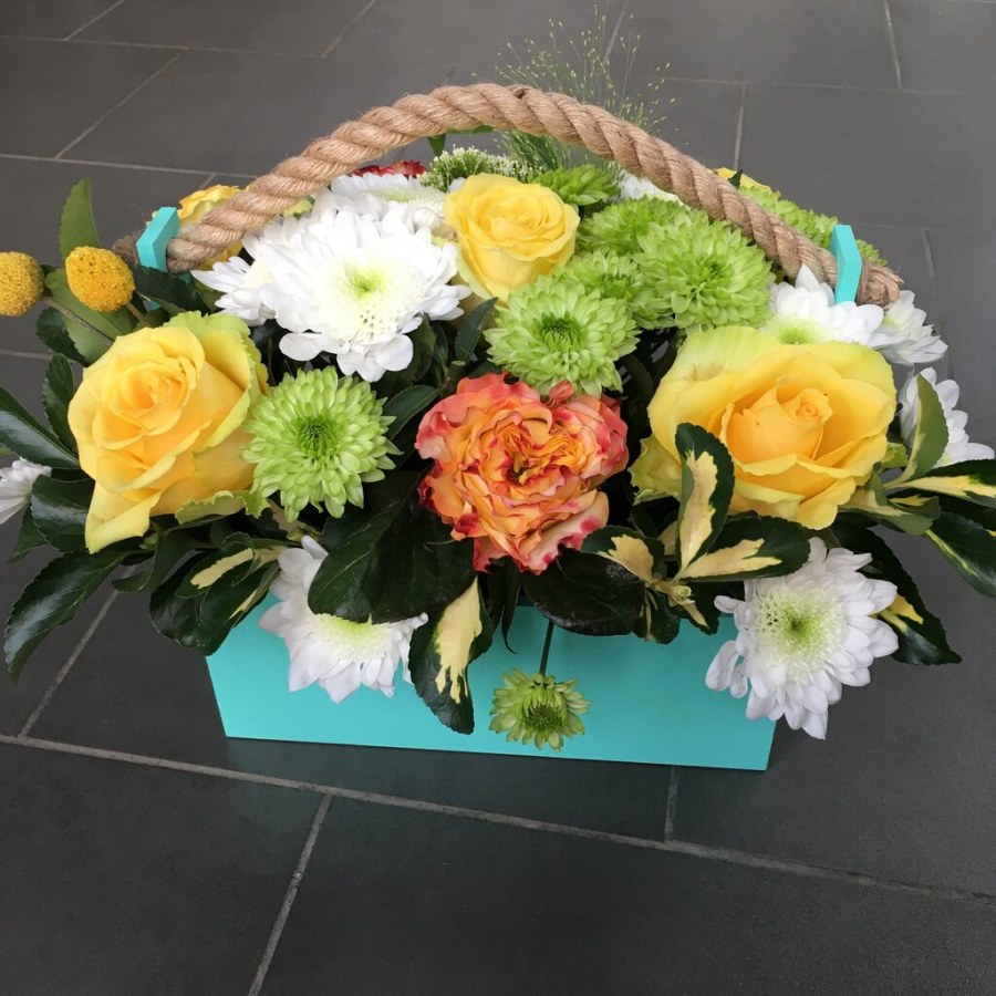 Красная Пахра СССР