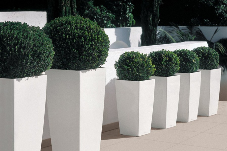 Лечуза Кубико серебро 30