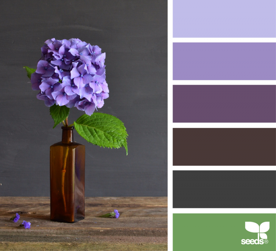 Сочетание цветов лавандовый