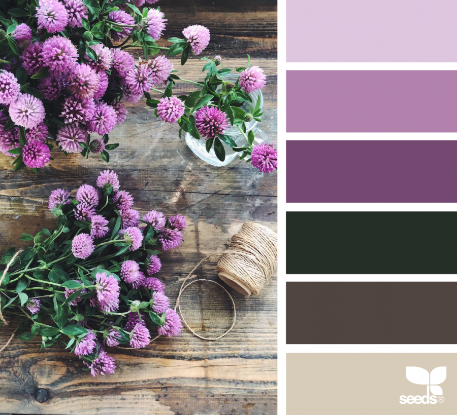 Сочетание цветов лавандовый