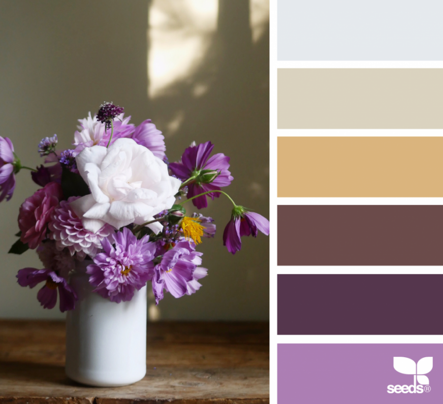 Сочетание цветов