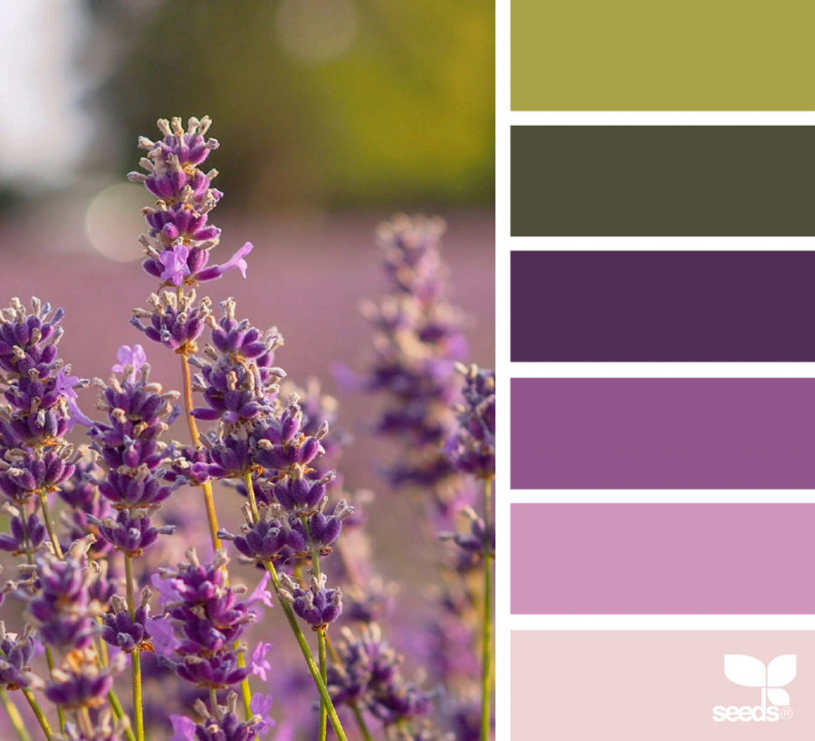 Цветовая палитра стиля Прованс