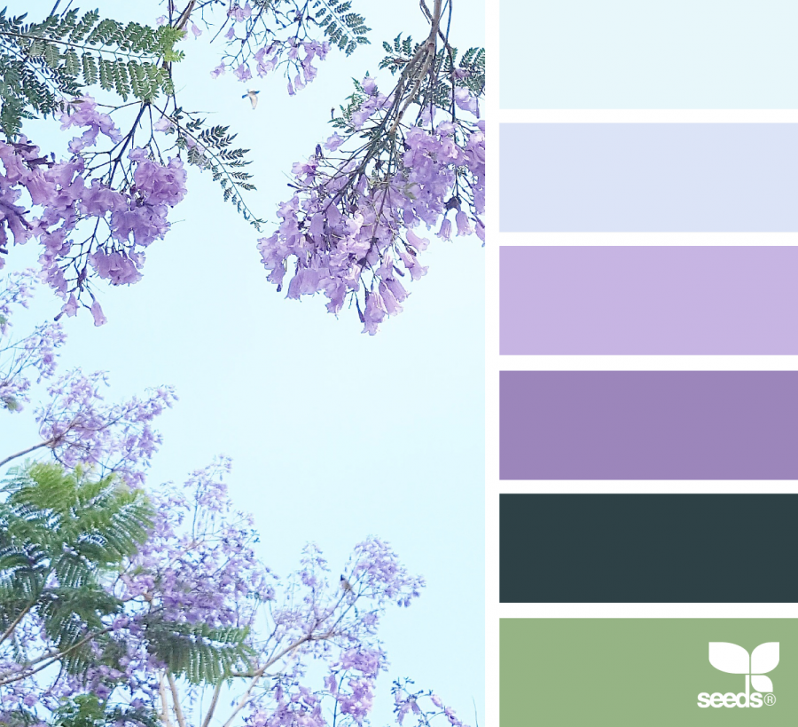 Палитры Сидс лиловый