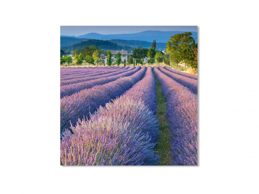 Бледно-сиреневая палитра