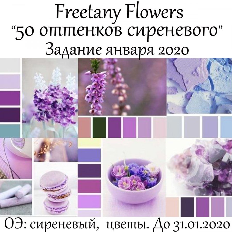 Гелиотроп цвет палитра