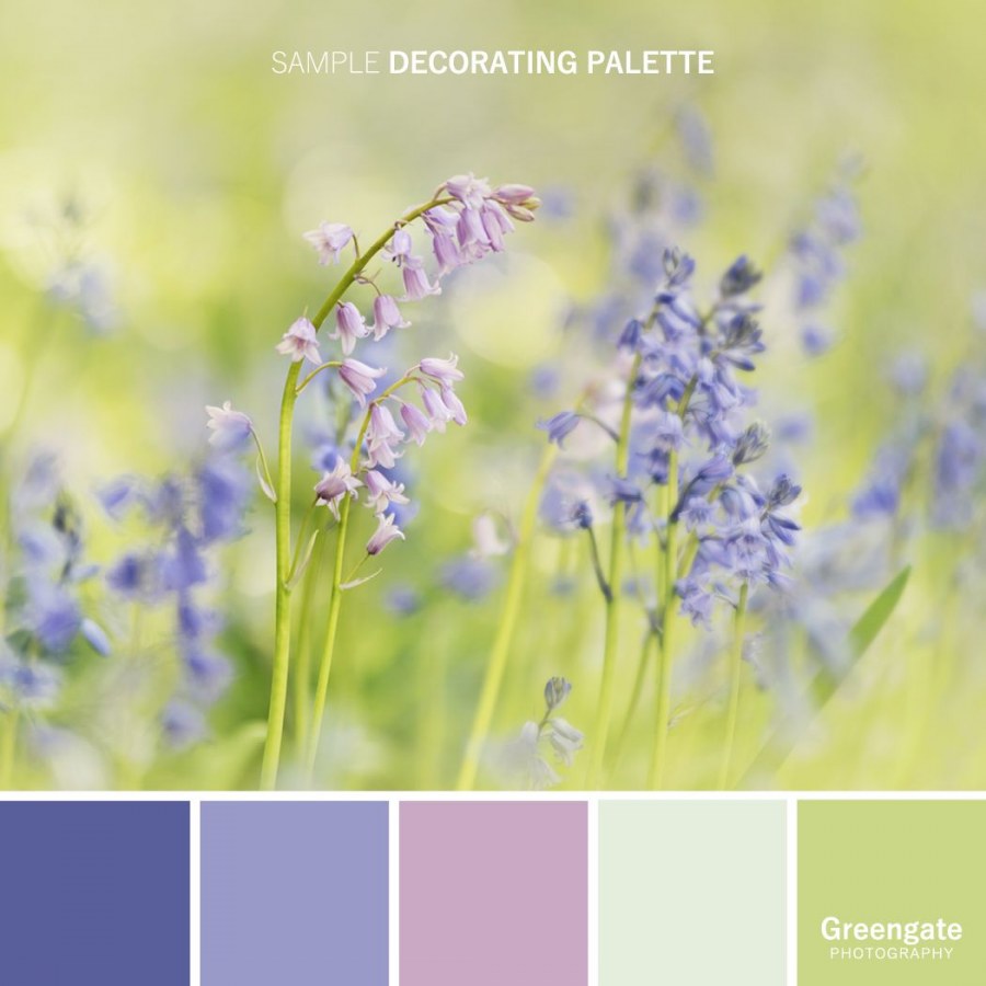 Контрастный цвет к лавандовому