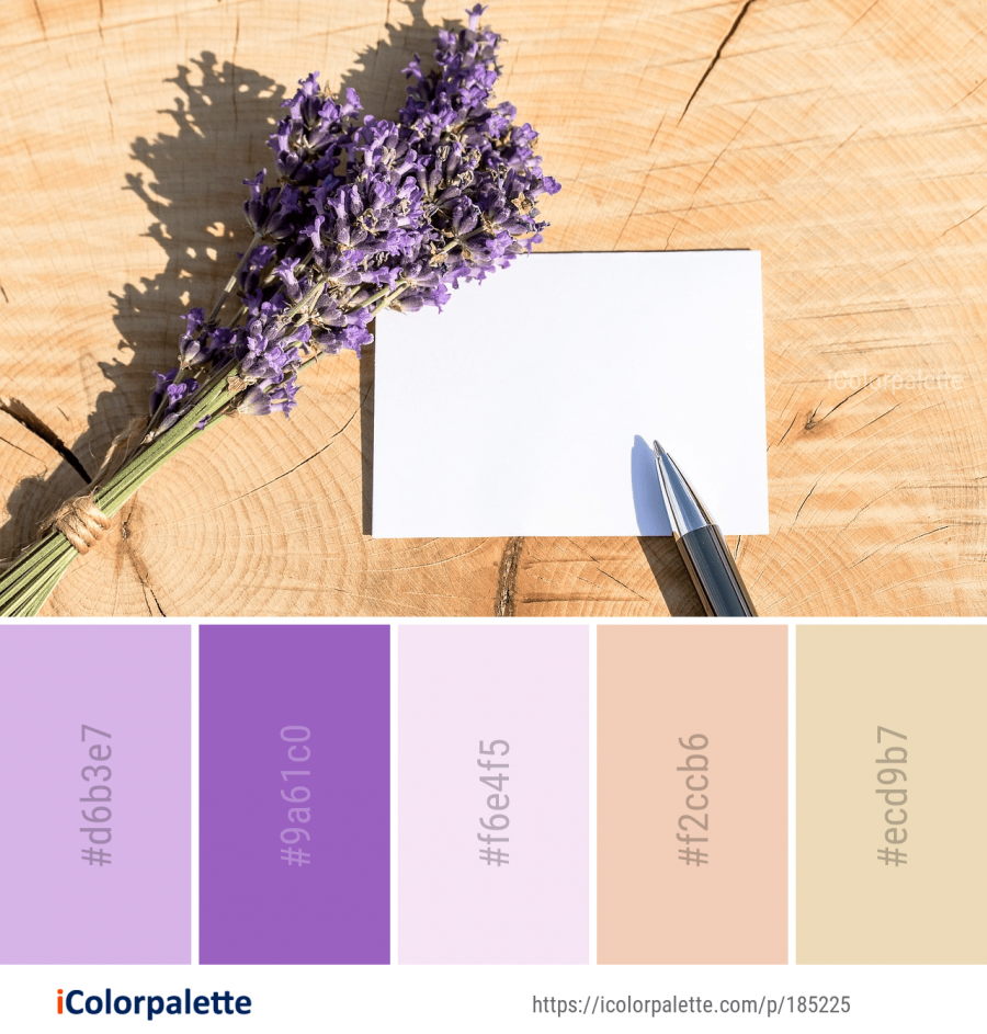 Цветовая палитра серый белый фиолетовый