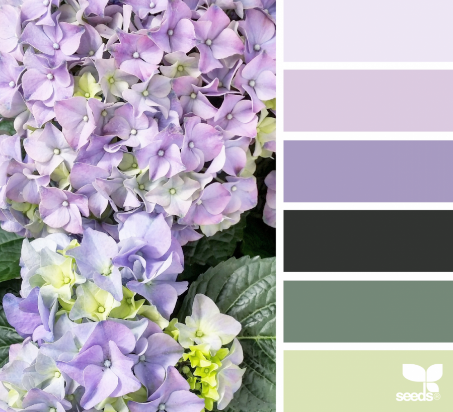 Палитра Сидс сирень