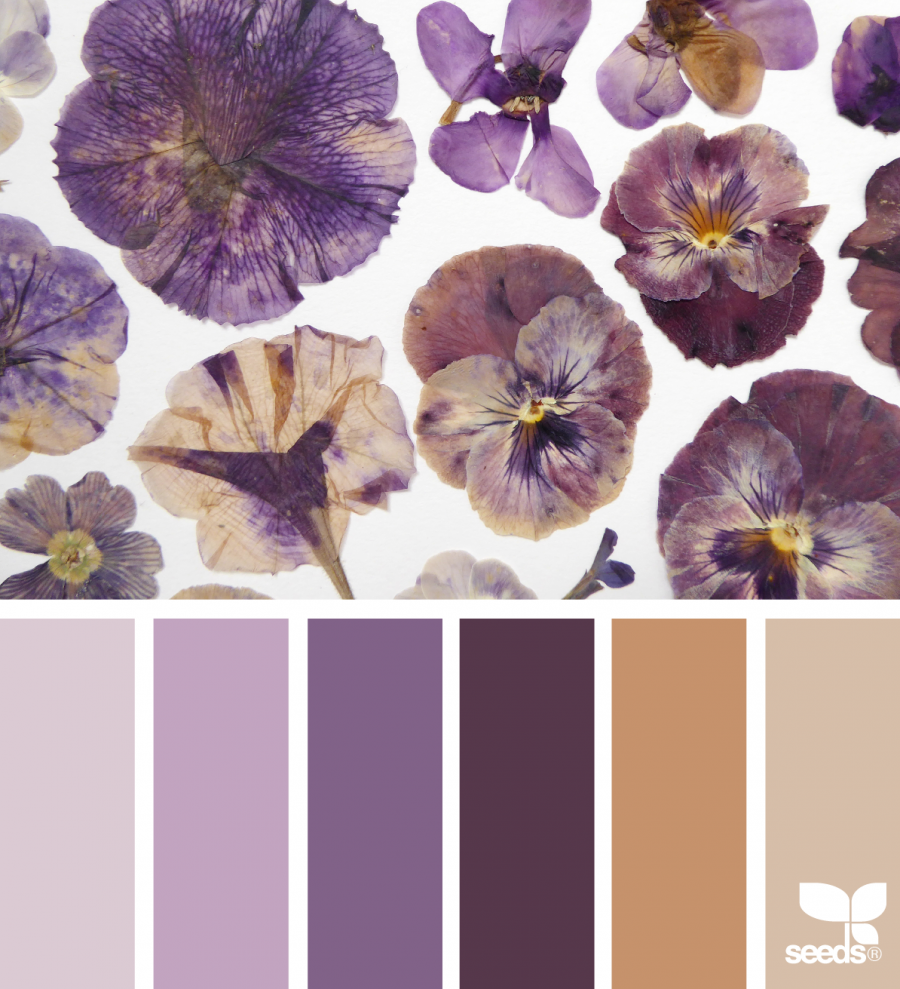 Сочетание цветов Лаванда голубой Прованс