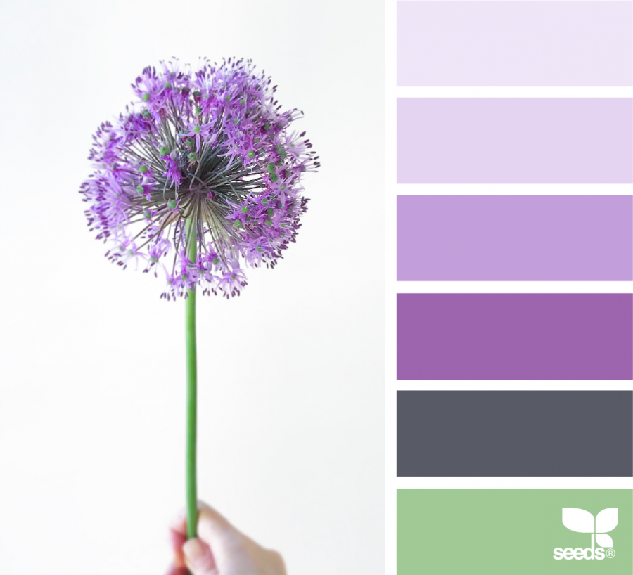 Цвет Лаванда сочетание с другими цветами