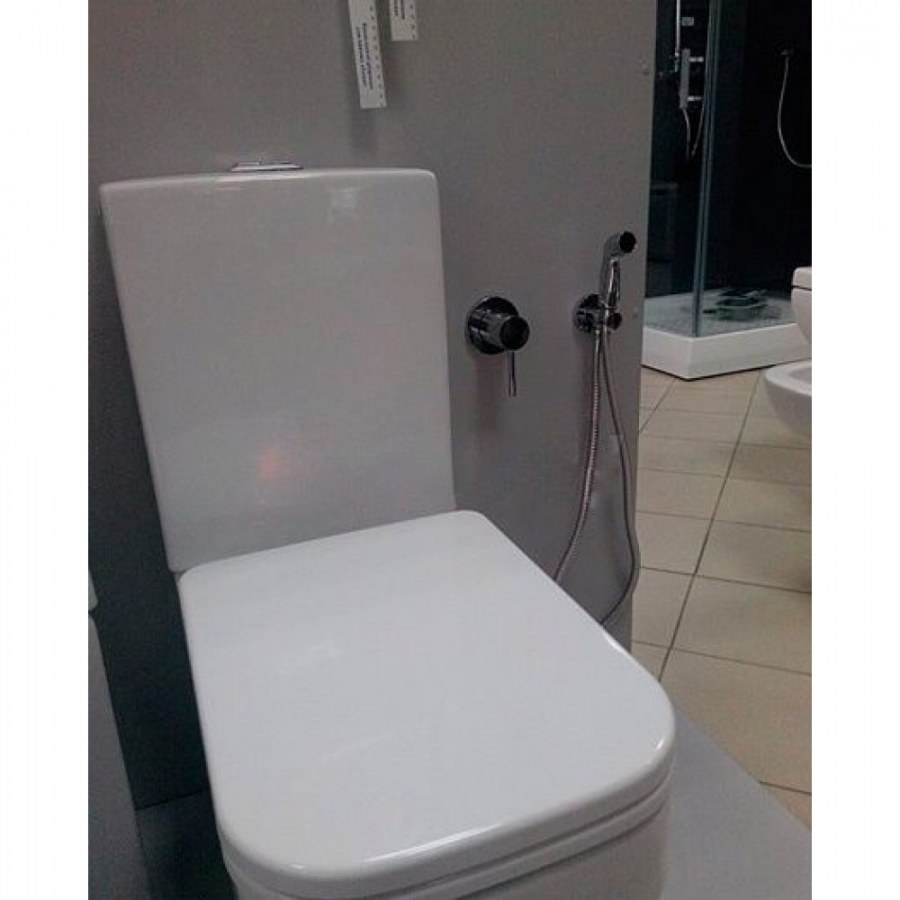 Гигиенический душ Kludi Bozz 389990576