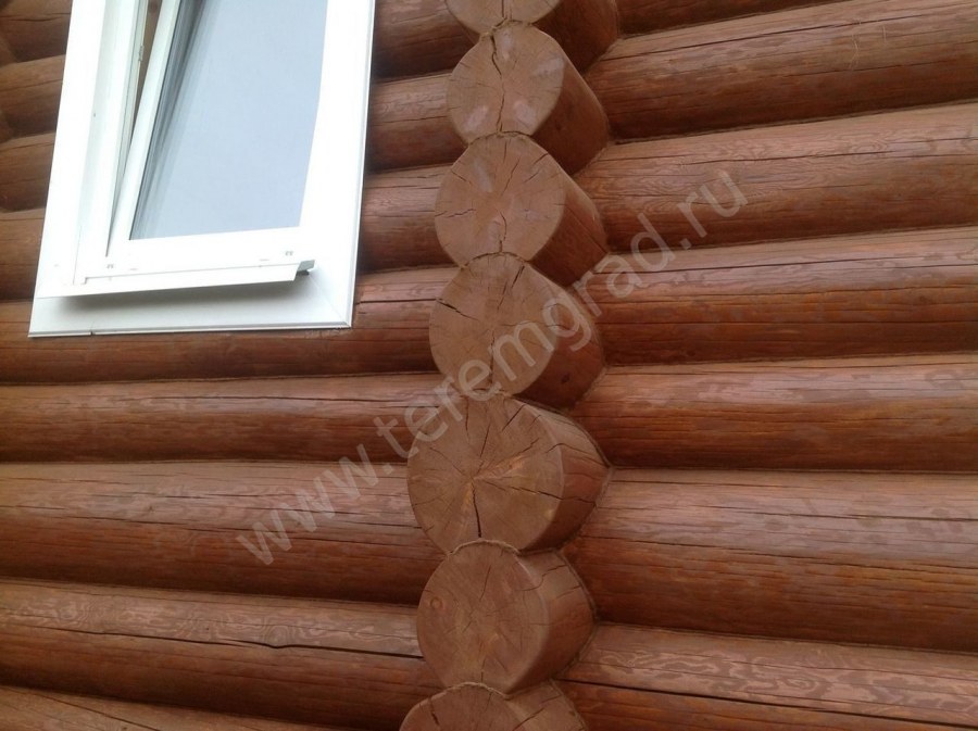 Масловоск Анта цвета