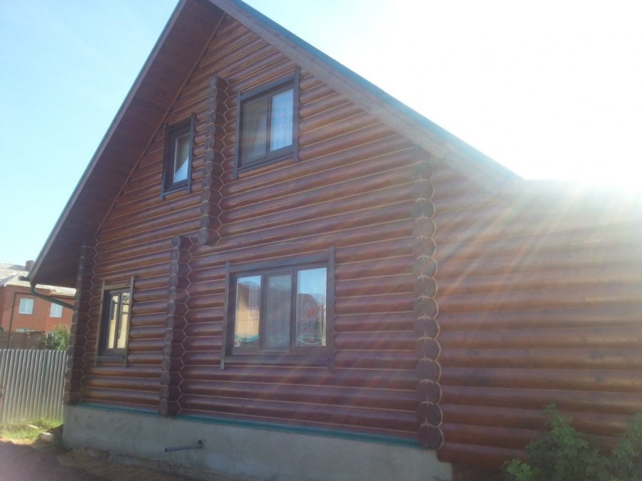 Белинка лиственница