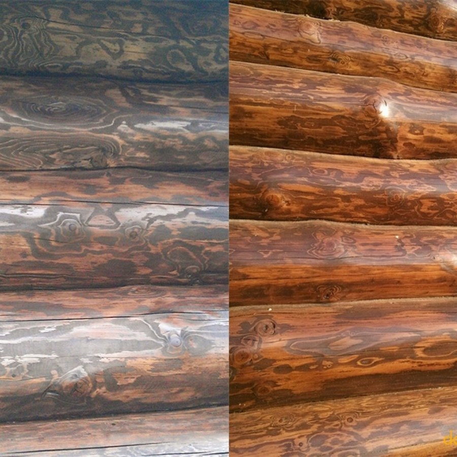 Биотекс палисандр цвет