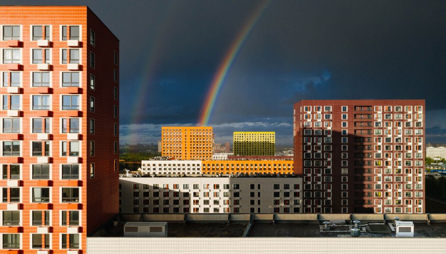 Измайловский лес Балашиха