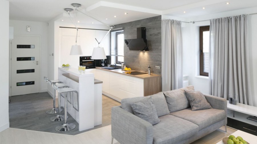 Кухня студия с гостиной