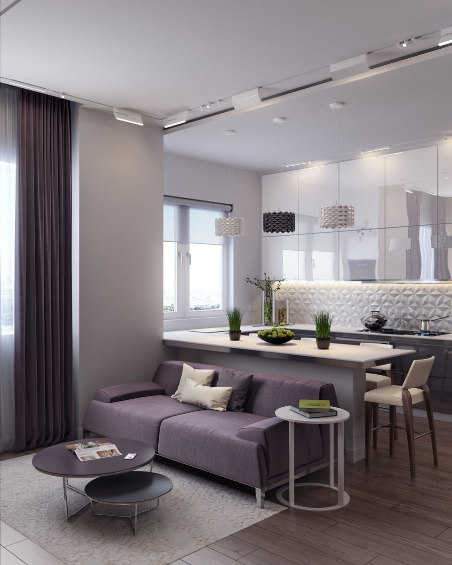 Кухня совмещенная с гостиной