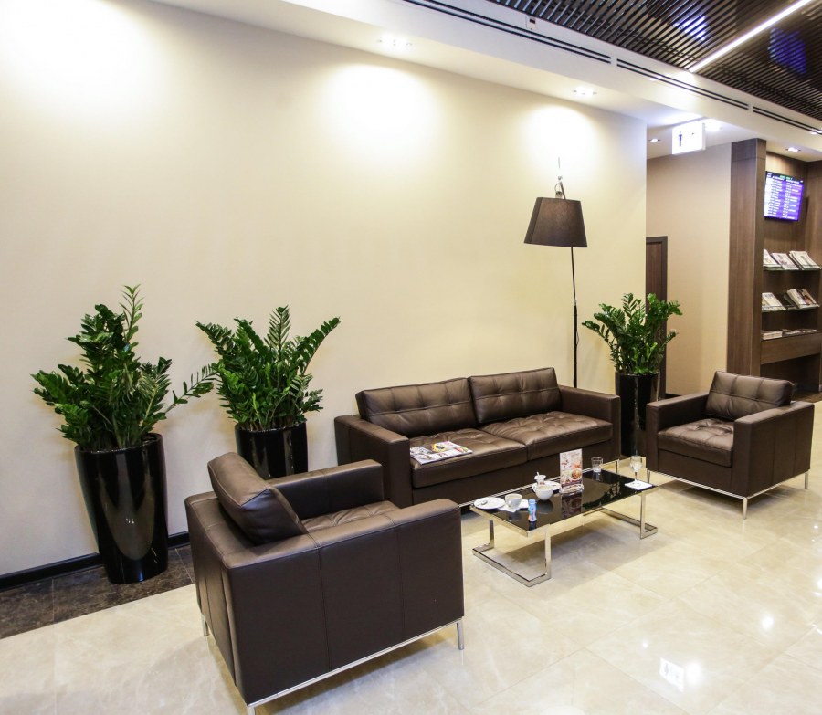 Бизнес зал аэропорт Ереван