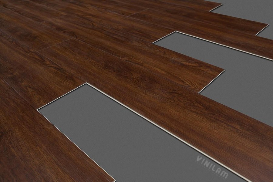 5390 Дуб Саламанка (2,78)